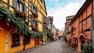 COMFORT ALSACE ALMANYA İSVİÇRE TURU