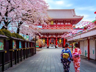 Comfort Japonya Turu Türk Hava Yolları ile 7 gece Ekstra Turlar ve Çay Seremonisi Dahil Yaz Dönemi KIX NRT YAZ DÖNEMİ - Sabah Dönüş Uçuşu